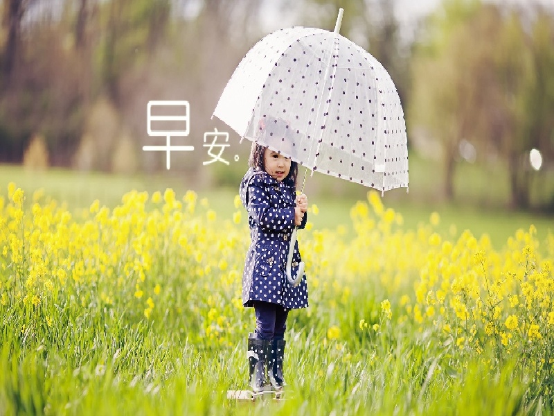 广州思孕试管试管最便宜方案试管导致内膜变薄